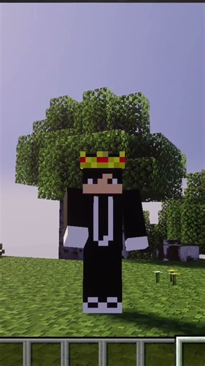 New Dimension In Minecraft | Is it True? | #minecrafthindi #minecraft