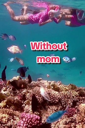 First experience without mom #snorkeling #withoutmom #sharmelsheikh #nature #coralreef