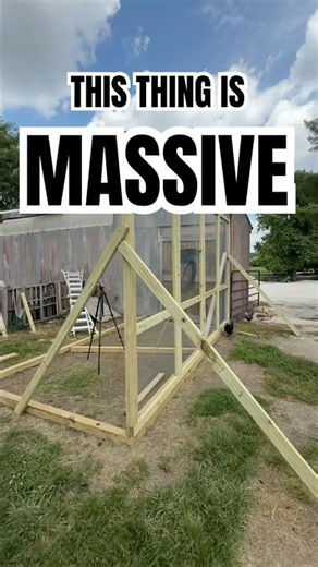CHICKEN RUN UPDATE… IT’S MASSIVE