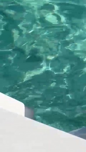 Allstate New Jersey Insurance Company - Neil Lang on Reels