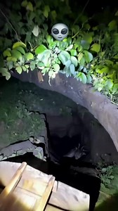 12 comments | Alien #reels #viral @nêu bật | Terry John | Facebook