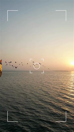 Gobbles does like to get outside and stretch his wings! | Oregon City Public Library