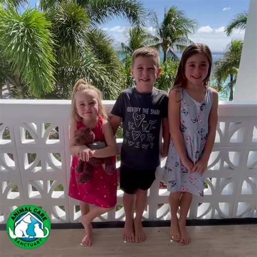 Support Animals in Need: Become a Monthly Donor to ACS