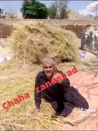 bilal (@bilalniazi25)’s videos with original sound - bilal