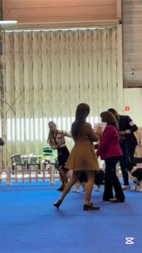 🇵🇹𝐍𝐚𝐜𝐢𝐨𝐧𝐚𝐥 & 𝐈𝐧𝐭𝐞𝐫𝐧𝐚𝐜𝐢𝐨𝐧𝐚𝐥 𝐒𝐚𝐧𝐭𝐚𝐫𝐞́𝐦 𝐃𝐨𝐠𝐒𝐡𝐨𝐰 🇵🇹 💥𝓚𝓲𝓵𝓵𝓲𝓪𝓷💥 ( 𝙒𝙒𝙟’𝟭𝟴 𝘽𝙄𝙎𝙎,𝙈𝙪𝙡𝙩𝙞𝙅𝙧𝘾𝙝 𝘾𝙃.𝙋𝙩/𝙂𝙞𝙗 𝙅𝙪𝙡𝙚 𝙏𝙤𝙤’𝙨 𝘽𝙚𝙮𝙤𝙣𝙙 𝙈𝙮 𝙃𝙚𝙖𝙧𝙩 ) 🏆𝗿𝗕𝗘𝗦𝗧 𝗜𝗡 𝗦𝗛𝗢𝗪 𝗩𝗘𝗧𝗘𝗥𝗔𝗡🏆 🏵️𝟮𝘅 𝗕𝗘𝗦𝗧 𝗩𝗘𝗧𝗘𝗥𝗔𝗡🏵️ Returning to the ring with 𝓚𝓲𝓵𝓵𝓲𝓪𝓷 after so many years away truly moves my heart 🥹 It feels incredibly special to stand there with him again, side by side, and relive everything we have experienced