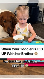 72K views · 95 reactions | Guys is this Cheerios book the cutest thing or what?? They place the Cheerios in special spots on the book to take the place of things such as water bubbles, teddy bear buttons, checker pieces etc. Comment “BOOK” for a link! #dogsofinstagram #dogmom #dogandbaby #goldenretriever #toddlermom #siblings #canadianmom #snacks #toddlersnack #cheerios | Air Bud Kobe | Facebook