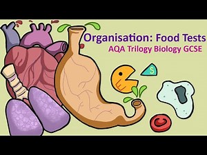 Science, GCSE, Biology AQA - Organisation: Food Test Practical