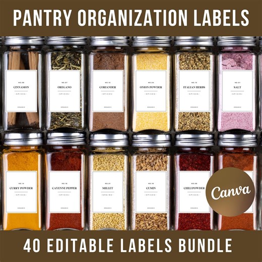 Editable Pantry Organization Spices Labels Template, DIY Kitchen Label Jars Herbs Dry Grains Tea Coffee, Create Stickers, Canva - Etsy