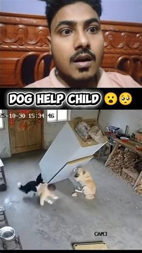 Dog help child 😮🥹🥺#youtubeshorts #foryou #animals #dog #sad