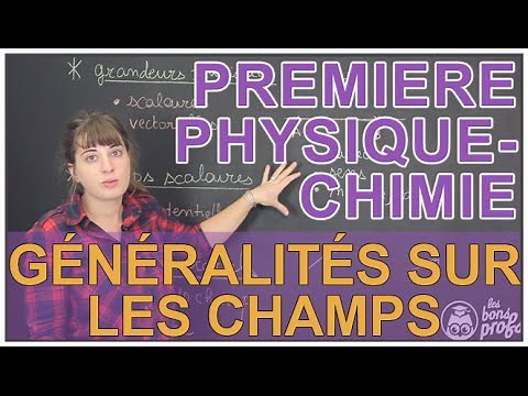 General information on fields - Physics-Chemistry - 1st - Les Bons Profs