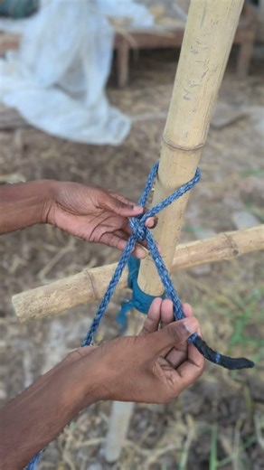 This Rope Knot is Insanely Strong! Easy Knot Trick Everyone Should Know #Shorts