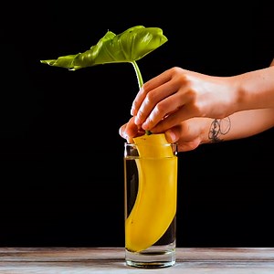 6.2M views · 51K reactions | Upgrade your gardening skills with these clever hacks and tips! | Green Bean | Facebook