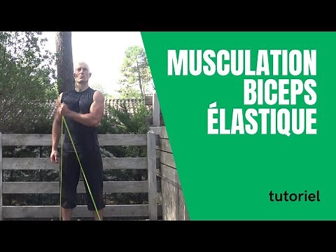 Musculation des biceps avec élastique : 4 exercices