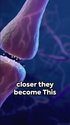 Neurons That Fire Together, Wire Together 2023