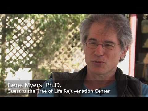 Dr. Cousens' Diabetes Recovery Program - Tree of Life Center US