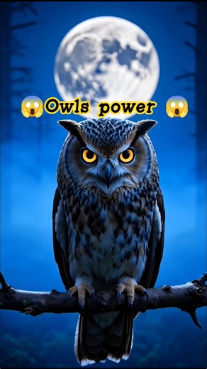Owls’ Secret Powers You Didn’t Know About! 🦉🌙 #Shorts