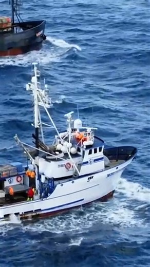 Sig Hansen Loses Steering Due To An Eagle! 🦅 #PhilHarris #DeadliestCatch #sighansen #jackanderson #deadliestcatch | Legacy of the Northwestern