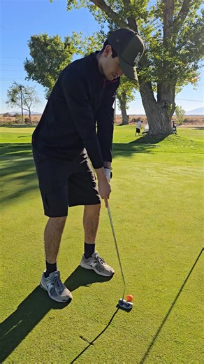 Brenda Avadian on Reels