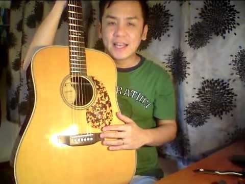 Blueridge BR-160 Guitar Review In Singapore