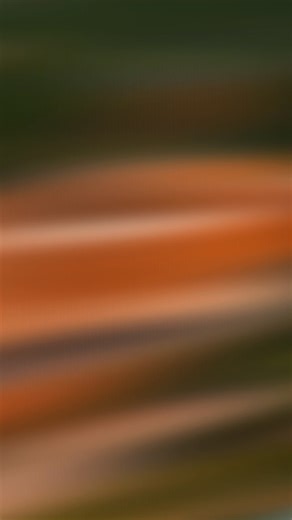 27 reactions | If you’ve been in a car accident in Alabama, you'll be...