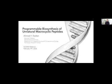 Engineering Life's Language: Streamlined Approaches for Efficient Genetic Code Expansion
