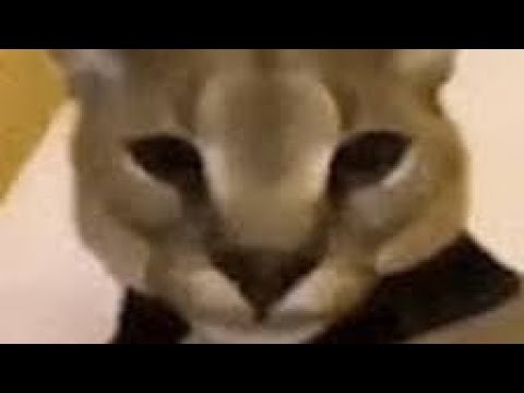 ßr GUI Fe bypass script showcase