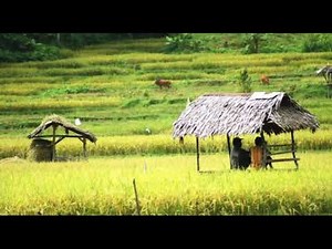 Playlist Kecapi suling sunda pengantar tidur