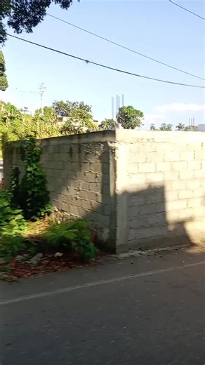 #salsabaulvenezuela🇻🇪🔊 | salsabaul