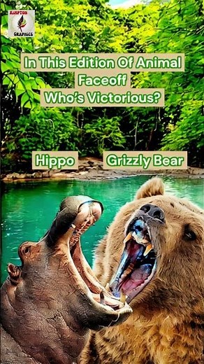 Animal FACEOFF- Hippo VS Grizzly Bear- Who Wins?