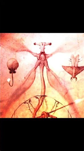 the Qu edit #edit #viral #alltomorrows #shorts #fypシ゚viral