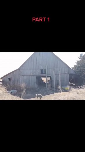 Blowing up a barn with 164 pounds of Tannerite! #prankdaddywhitson