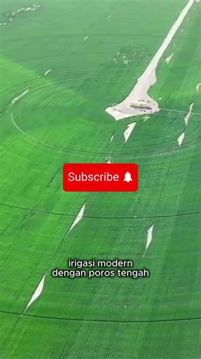 Circular Wheat Fields in China ??