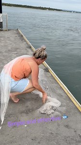 There’s plenty of ways to throw a cast net — this is one of the simplest and most efficient 🎣Perfect for catching bait and very similar to throwing a prawn net, heads up.Prawn season is coming, so come check us out at Island Fishing Supplies, Bribie Island 🦐We’ve got plenty of affordable, lasting quality cast nets in stock! #CastNet #PrawnSeason #BaitFishing #FishingTips #BribieIsland | Bribie Island Fishing Supplies