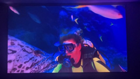 Smarter Surfaces Ultra High Contrast Projector Screen Paint for Wall 4K 8K - Dark Grey Projection Screen Paint 48ft² | 4K Projector Paint | Gain Value 0.24 | Projector Wall Paint for Indoor Use