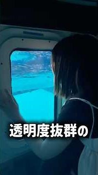 今回は愛南町にある西海観光船🌊非日常体験を愛南町で味わってみませんか？ #愛媛県 #愛南町 #非日常体験 #海 #観光船 #観光 #絶景
