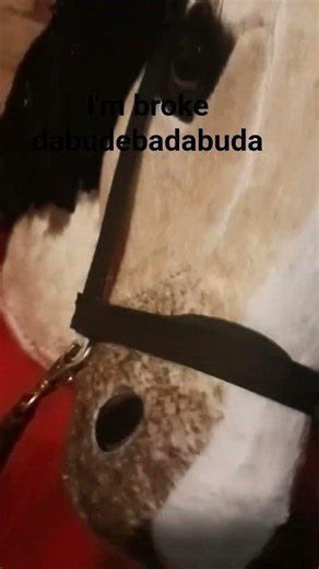 I made the bridle and the reins are purse straps (I bought the brow band and off etsy) #hobbyhorse