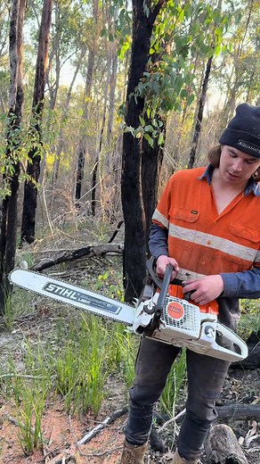 MS400C Review: In-Depth Analysis of Features