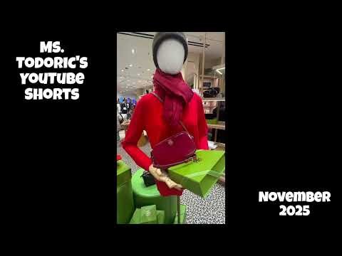 Ms. Todoric's November 2025 100 YT SHORTS compilation Project