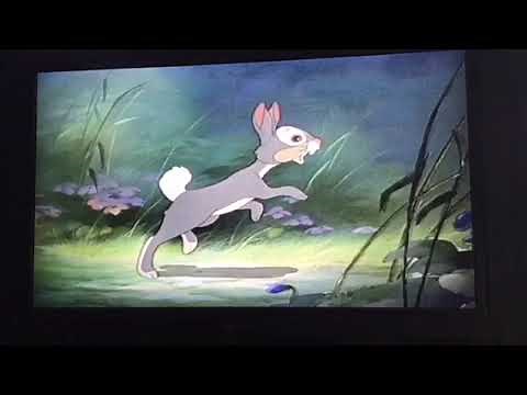 Bambi 1942 Forest Animals