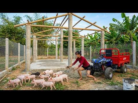 Using a Four Wheeled Vehicle to Transport 20 Pigs and Building a Completed Pig Farm