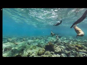 Google Expeditions: Setup Tutorial