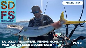 La Jolla yellowtail fishing gone wild catch cook and sushi feast part 2