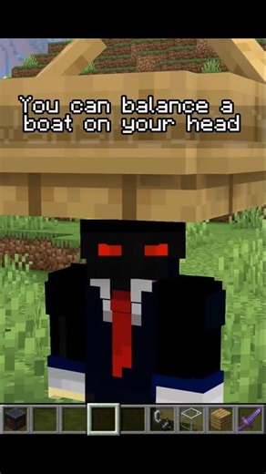 Are These Minecraft Myths Real 🗿 ?