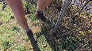 113K views · 1.6K reactions | I think I could do it all myself! If I had the kit and the knowledge.... I think i could do it. 藍 A little clip from our FETRA Fence installation that was gifted to us by StowAg. Showing how easy it is to clip all the netting up. The fence was installed by the Samson brothers and James Whiteford who were great craic on the day. Full video on my YouTube channel. #ad | The Sheep Game | Facebook