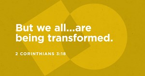 What Is Transformation in the Bible? - Bibles for Europe Blog