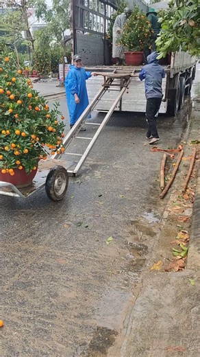 物理の基本を自然に体現している。仕事量（Work = 力 × 距離）自体は変わらないが、ピーク力（瞬間的に必要な最大力）を大幅に減らし、怪我のリスクを下げる。古代から知られる単純機械を現代的に組み合わせた実践。アルキメデスやダ・ヴィンチが生きていたら、きっと👍してる