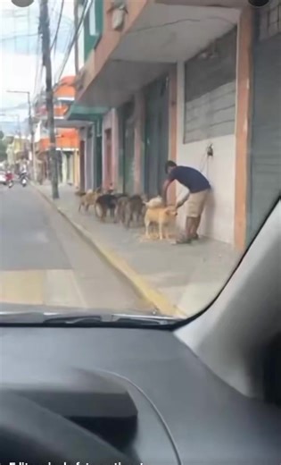 solo CLIENTES VIP #perros #fyp #sociedad | perritos