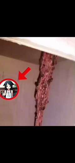 Exploring the Dark World of Saya no Uta