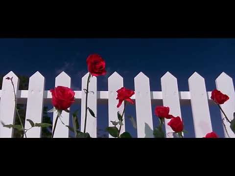 Blue Velvet, David Lynch (1986) - Opening scene