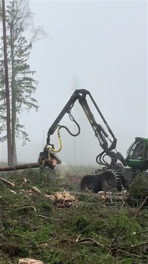 This Machine Changed Forestry Work Forever: Efficiency and Productivity in One